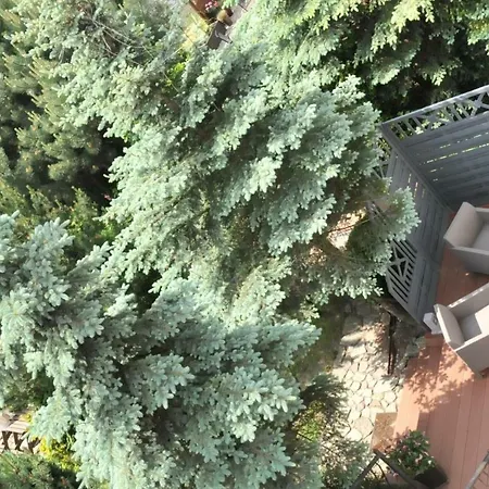 Pokoje Goscinne Beatka Władysławowo Exterior foto