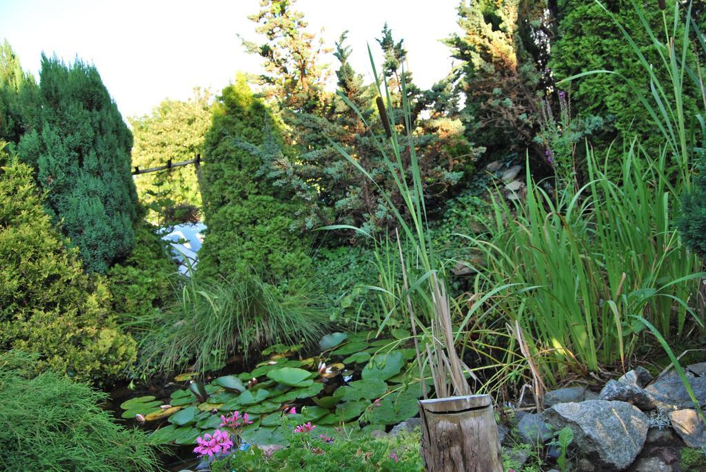 Homestay Goscinne Beatka